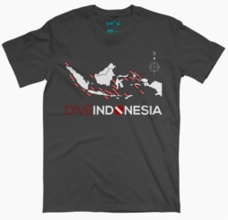 indonesia 20170305141048  large