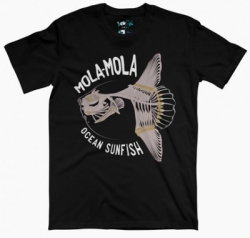 mola mola ocean fish 20170305155954  large