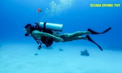 large Discover Scuba Diving  St